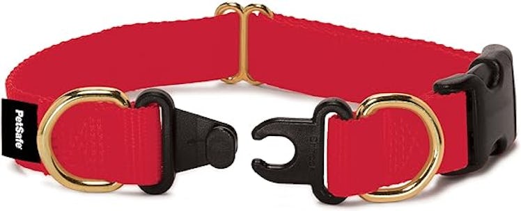 PetSafe Breakaway Collar