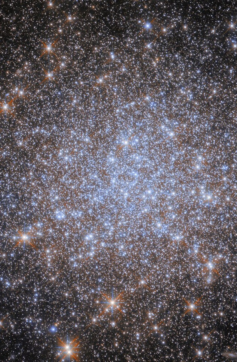 A cluster of stars. Most of the stars are very small and uniform in size, and they are notably blui...