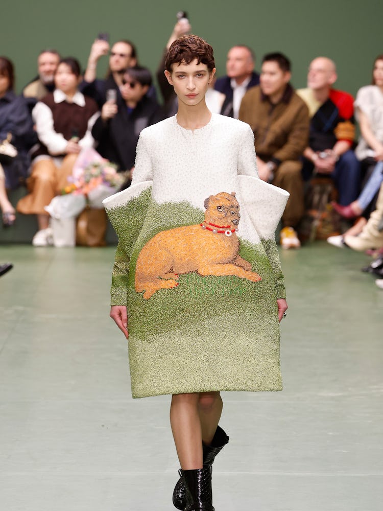 A model walks the runway during the Loewe Womenswear Fall/Winter 2024-2025 show as part of Paris Fas...