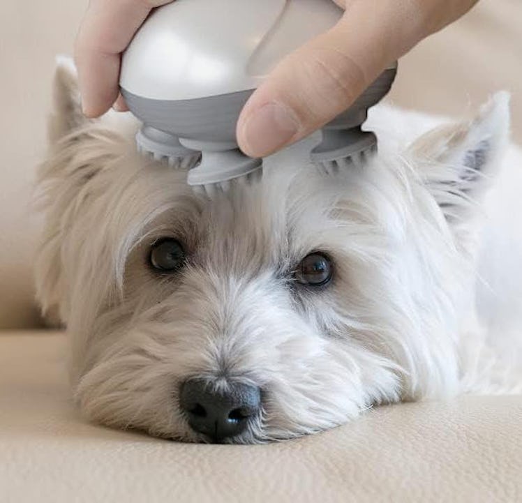 Tilcare Electric Pet Massager