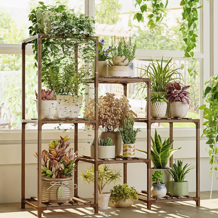 Bamworld 3-Tier Indoor Plant Stand