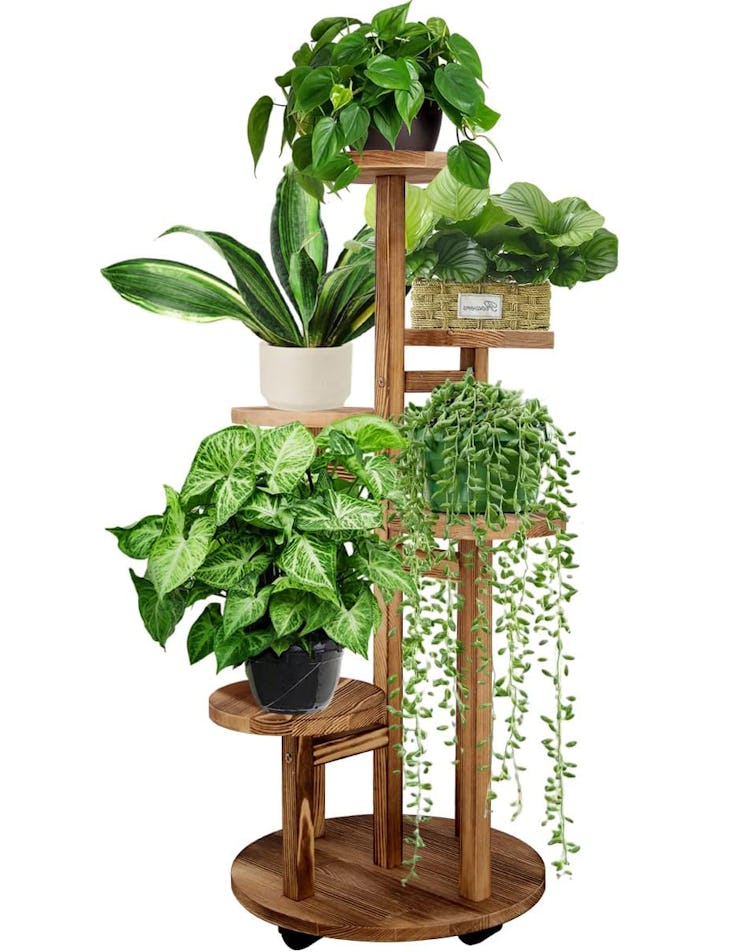 GEEBOBO 5 Tiered Tall Plant Stand