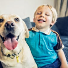 A little boy sits on a couch with a yellow lab.