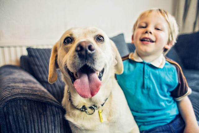 A little boy sits on a couch with a yellow lab.