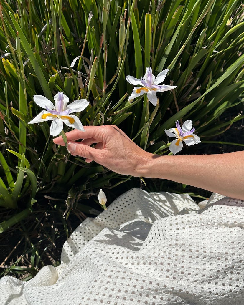 carolyn murphy skin care