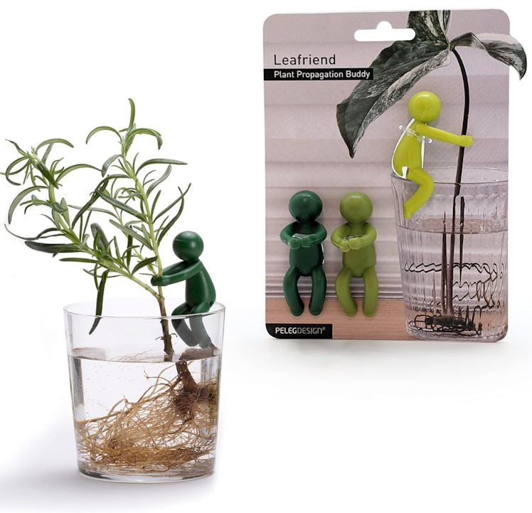 PELEG DESIGN Leafriend Plant Propagation Buddy (3-Pack)