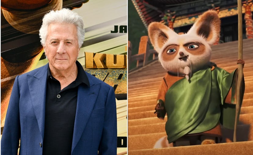 Dustin Hoffman voices Shifu in 'Kung Fu Panda 4.'