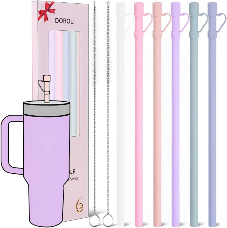 Doboli Silicone Straws With Covers (6-Pack)