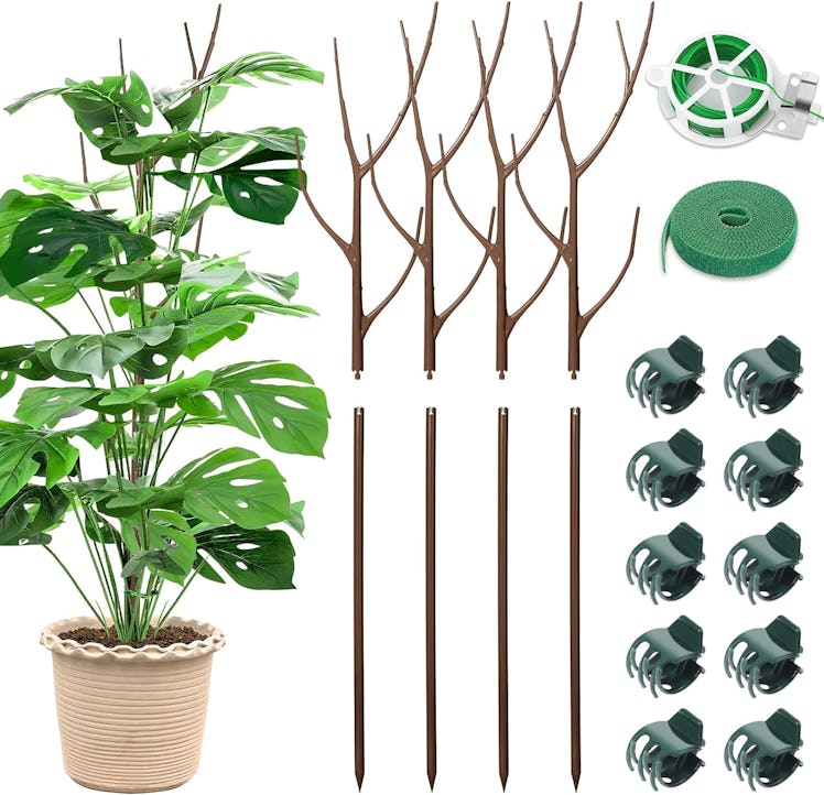 ROADPLUM Twig Plant Support Stakes Set (4-Pack)