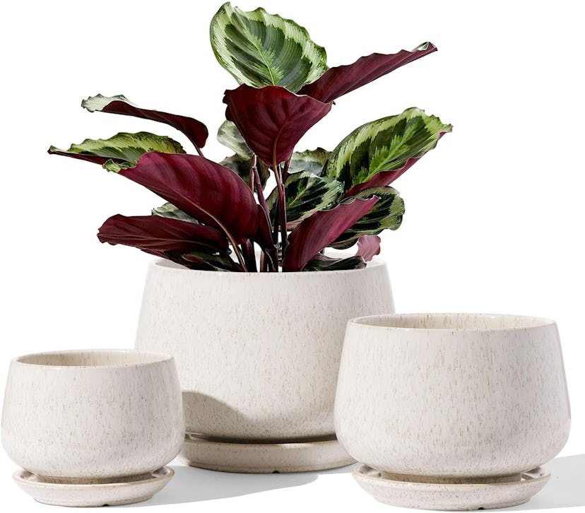 Le Tauci Plant Ceramic Plant Pots, Set of 3
