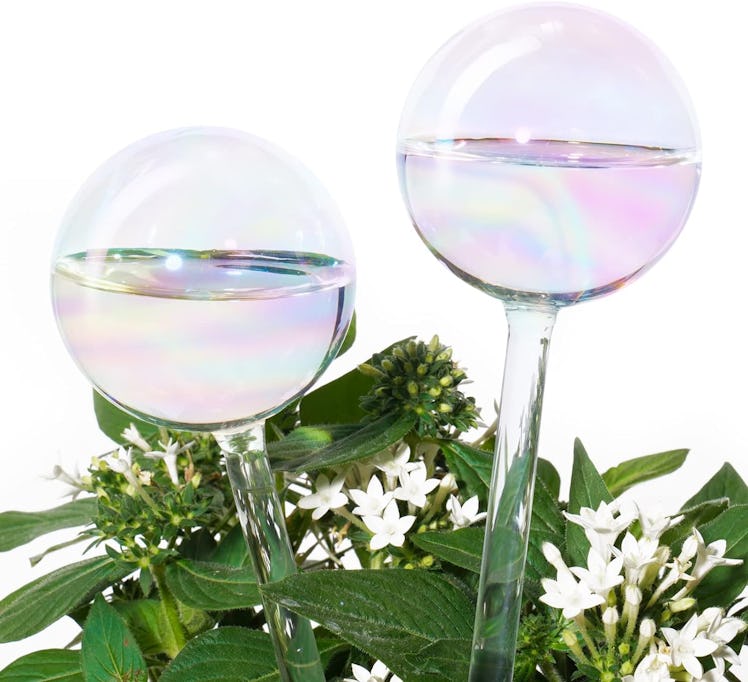Tomorotec Plant-Watering Globes (2-Pack)
