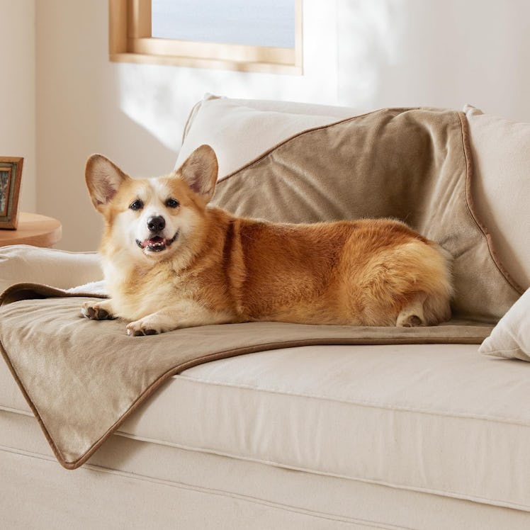 Bedsure Waterproof Dog Blanket