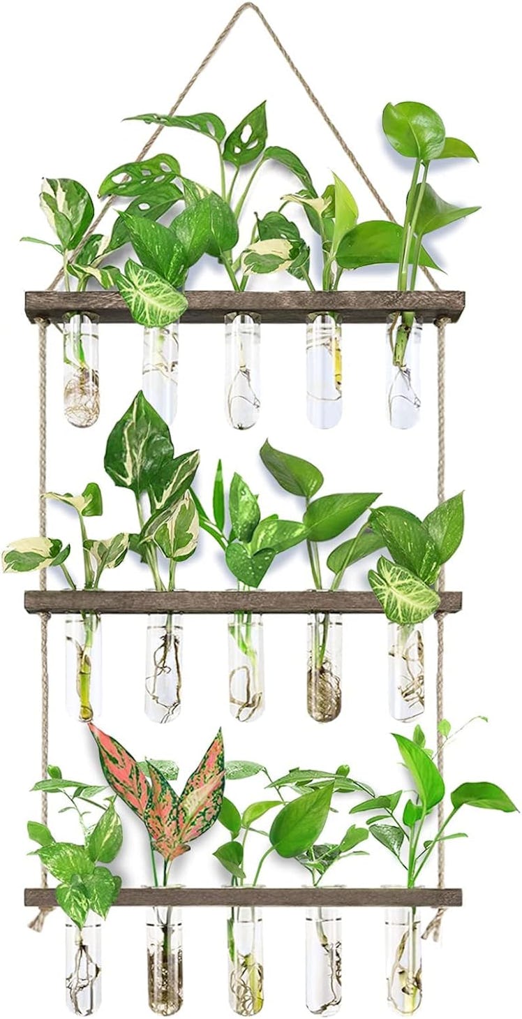 XXXFLOWER Wall-Hanging Propagation Station