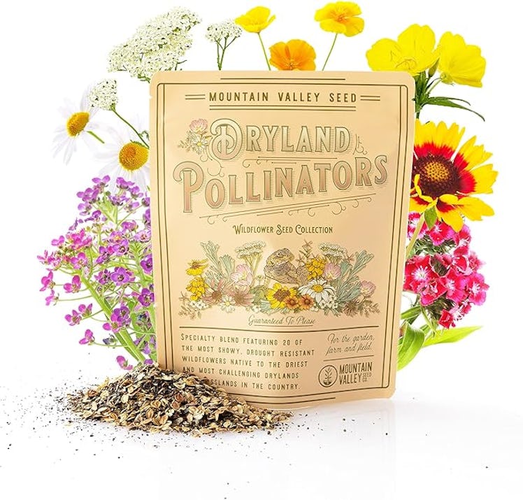 Mountain Valley Seed Company Wildflower Seed Mix