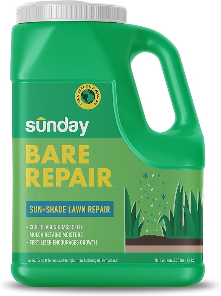 Sunday Bare Repair Sun and Shade Grass Seed Spot Treatment