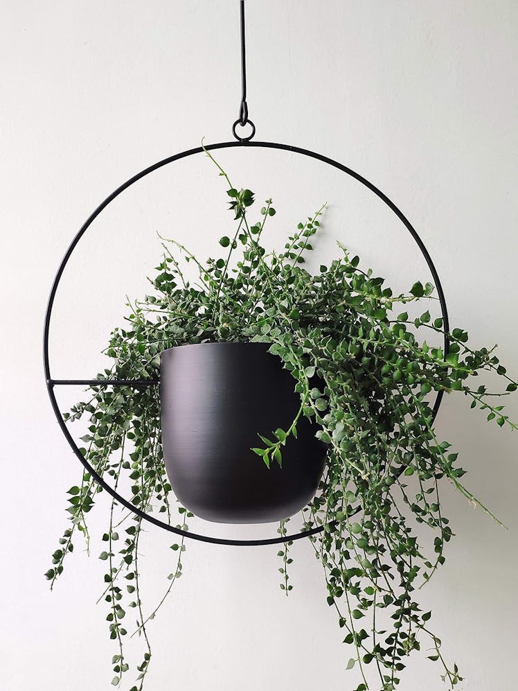 RISEON Black Metal Plant Hanger