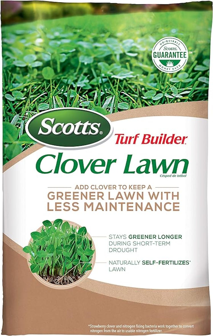 Scotts Turf Builder Clover Lawn