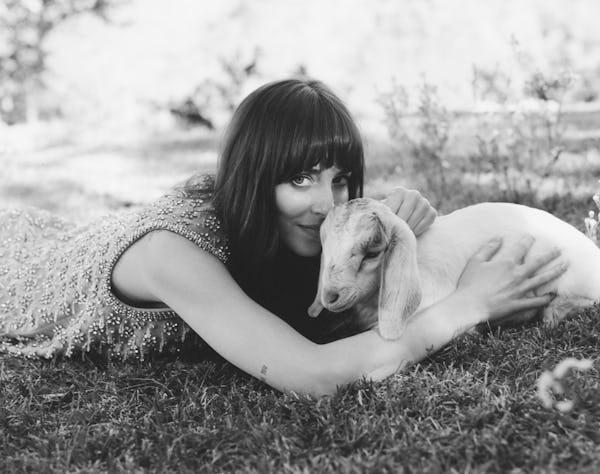 Dakota Johnson lying on the grass with a baby goat.