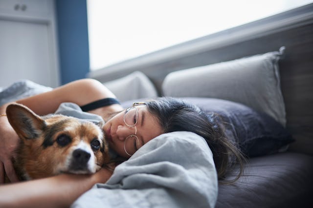 A woman lies in bed sick with her dog.
