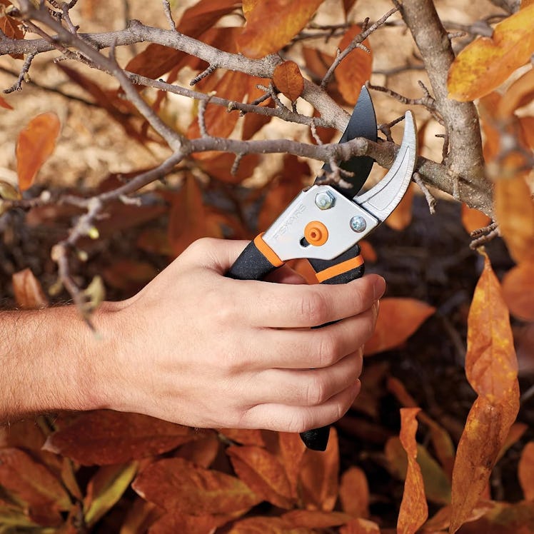 Fiskars Bypass Pruning Shears