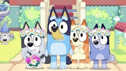 Muffin, Bluey, Bingo, and Socks stand in Bluey's front yard looking shocked. All but Bluey are weari...