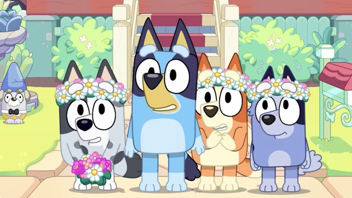 Muffin, Bluey, Bingo, and Socks stand in Bluey's front yard looking shocked. All but Bluey are weari...