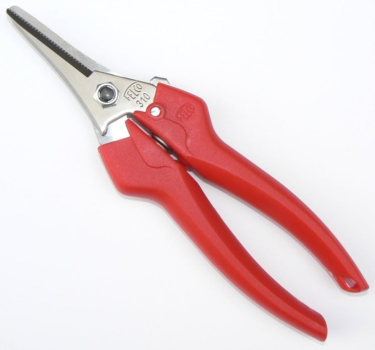 Felco Pruning Shears