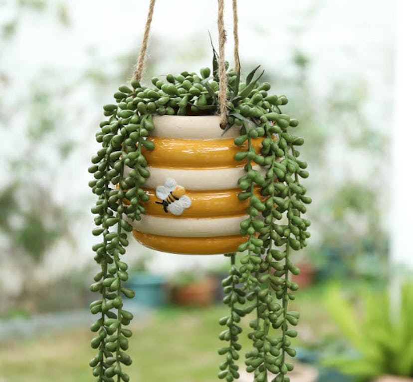 Chonsun Hanging Ceramic Planter