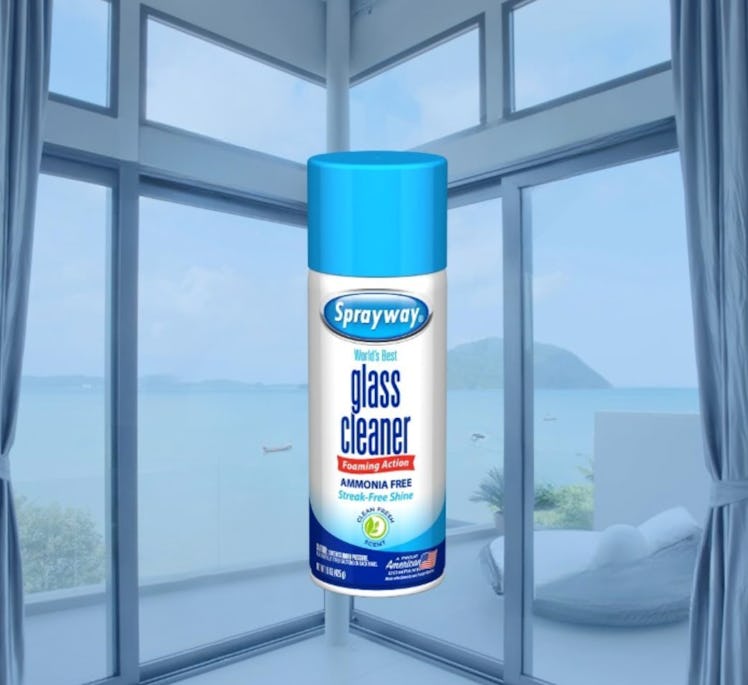 Sprayway Glass Cleaner