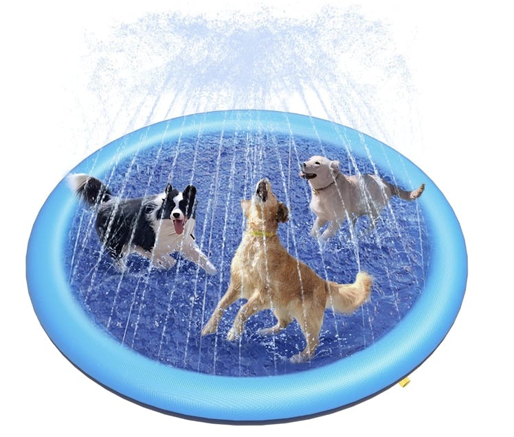 Peteast Dog Splash Pad