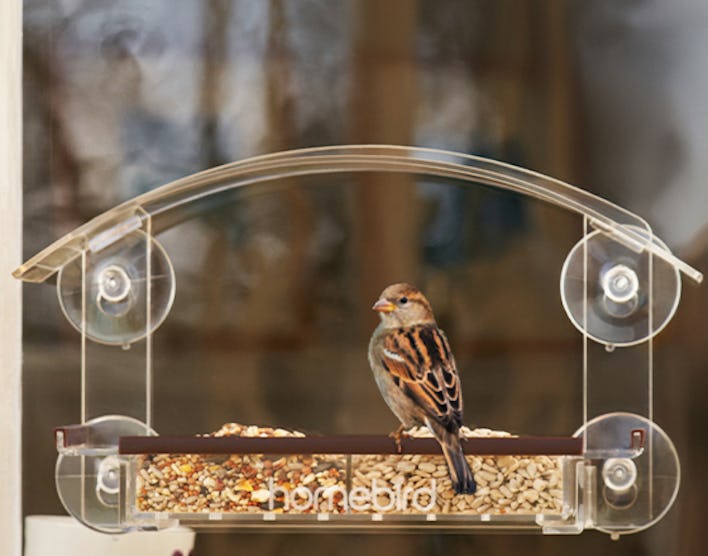 homebird Window Bird Feeder