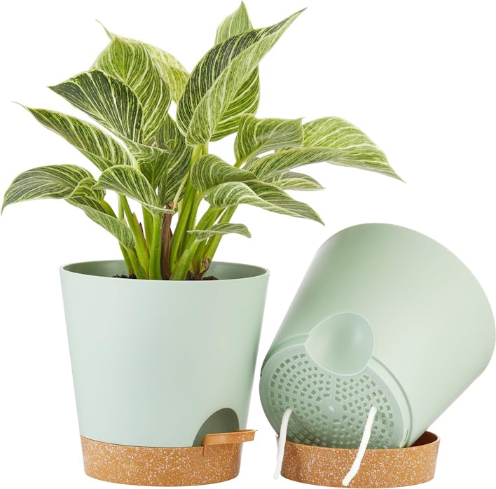 FaithLand Self-Watering Pots (2-Pack)
