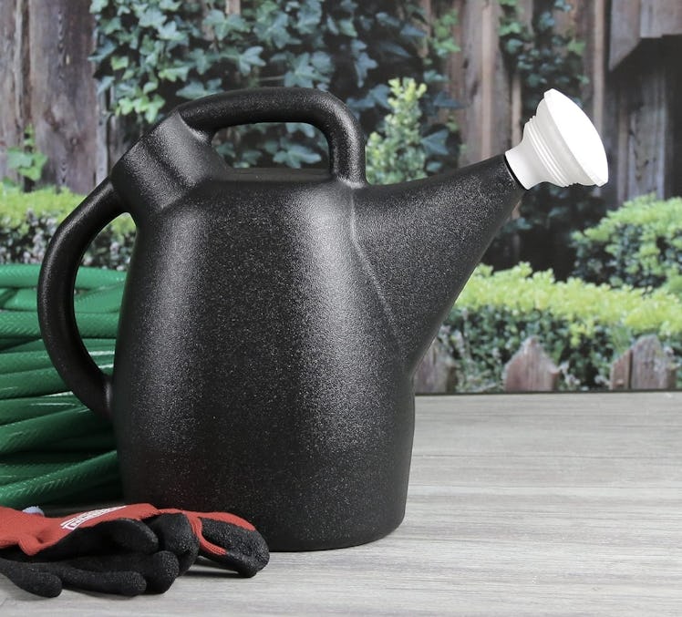 Chapin International Recycled Watering Can