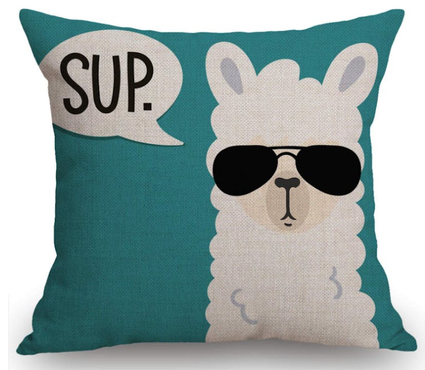 Swono Funny Llama Decorative Outdoor Pillow Cover