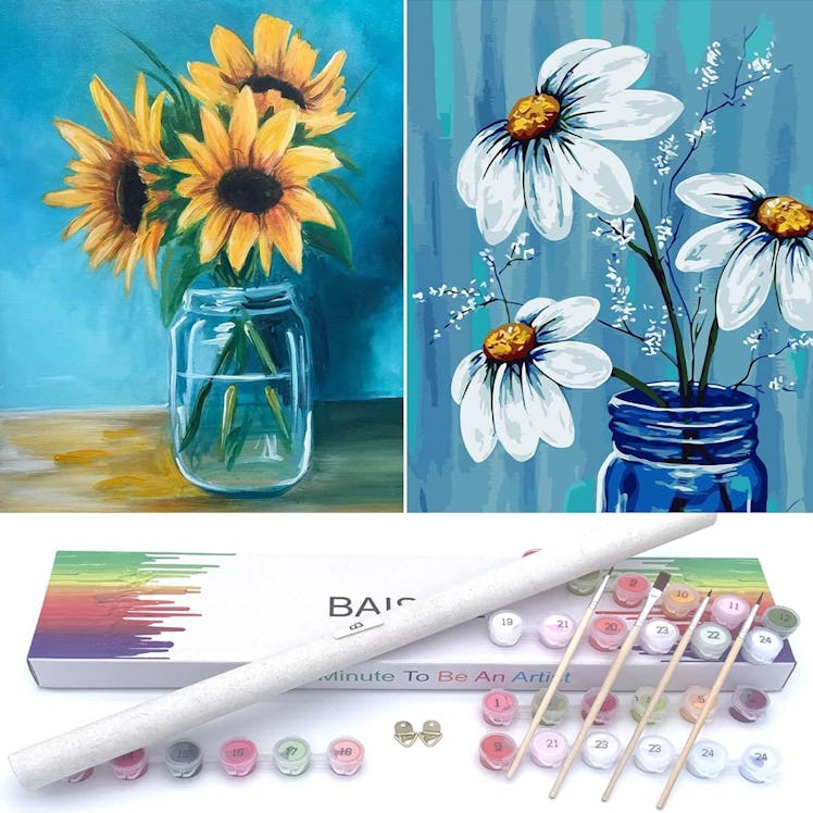 BAISITE Paint by Numbers Set