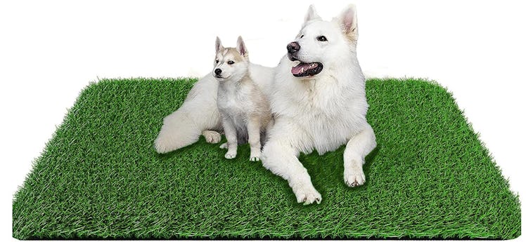 PICK FOR LIFE Grass Pad for Dogs