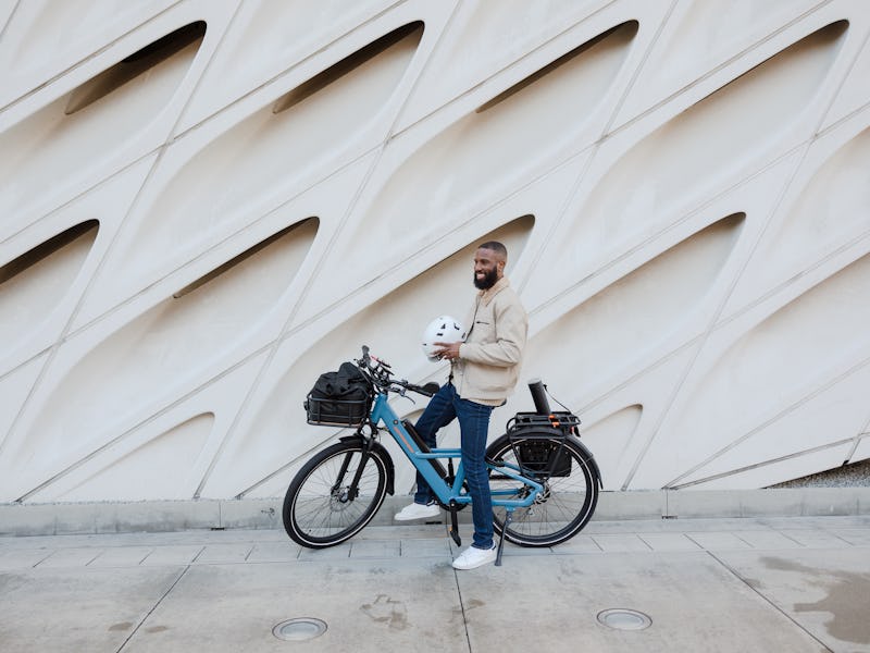 Rad Power Radster e-bike