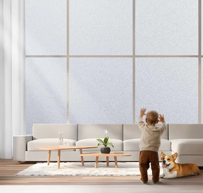 Coavas Window Privacy Film