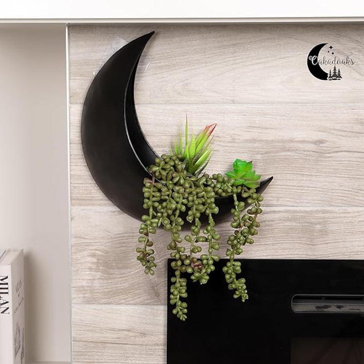 Oakadoaks Hanging Moon Planter