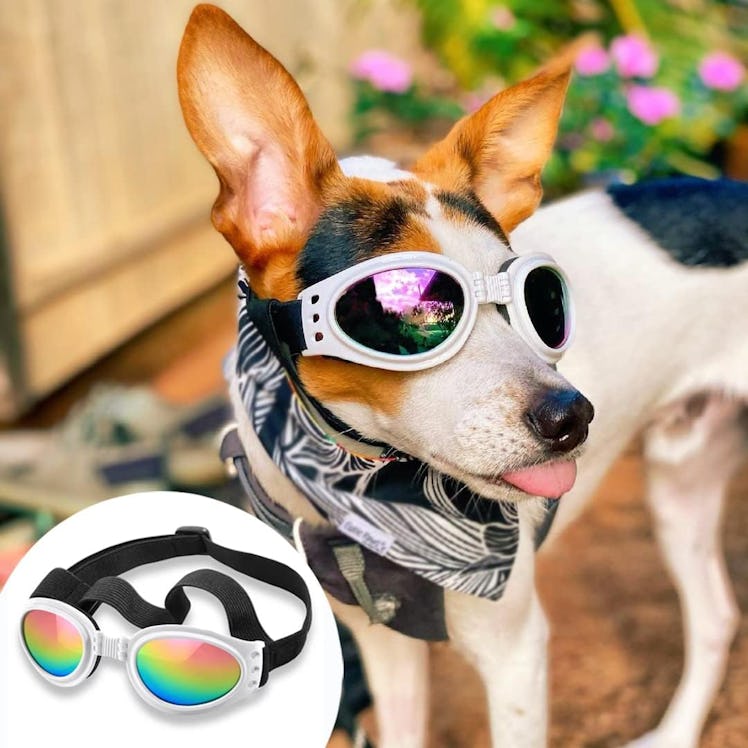 QUMY Dog Goggle Sunglasses