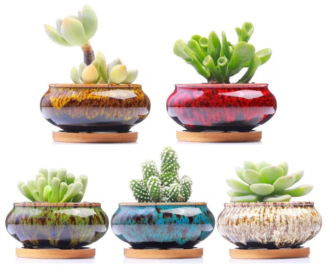 LamDawn Cute Ceramic Succulent Garden Pots (Set of 5)