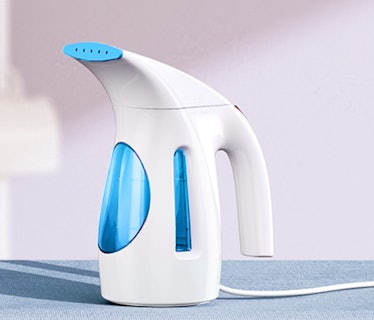HiLIFE Steamer for Clothes