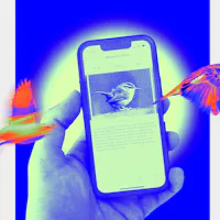 The Cornell Lab of Ornithology's free Merlin Bird I app for iPhone uses AI to help identify birds vi...