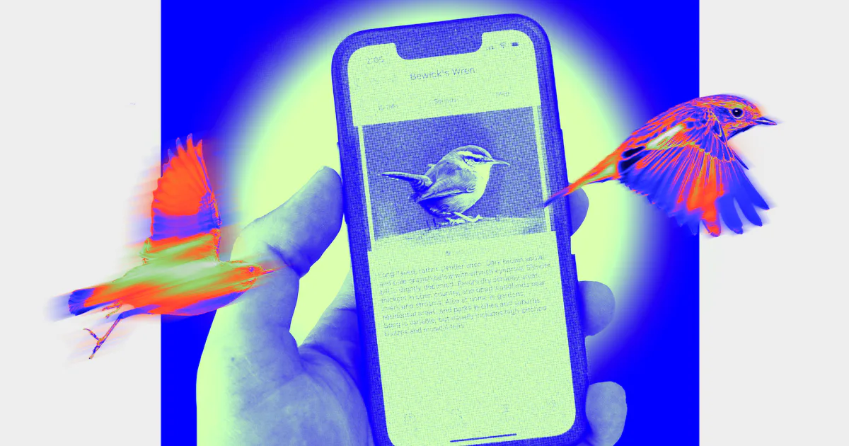 I Can't Stop Using Cornell's Free AI-Powered Merlin Bird ID App