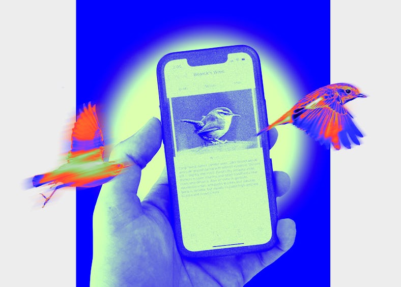 The Cornell Lab of Ornithology's free Merlin Bird I app for iPhone uses AI to help identify birds vi...