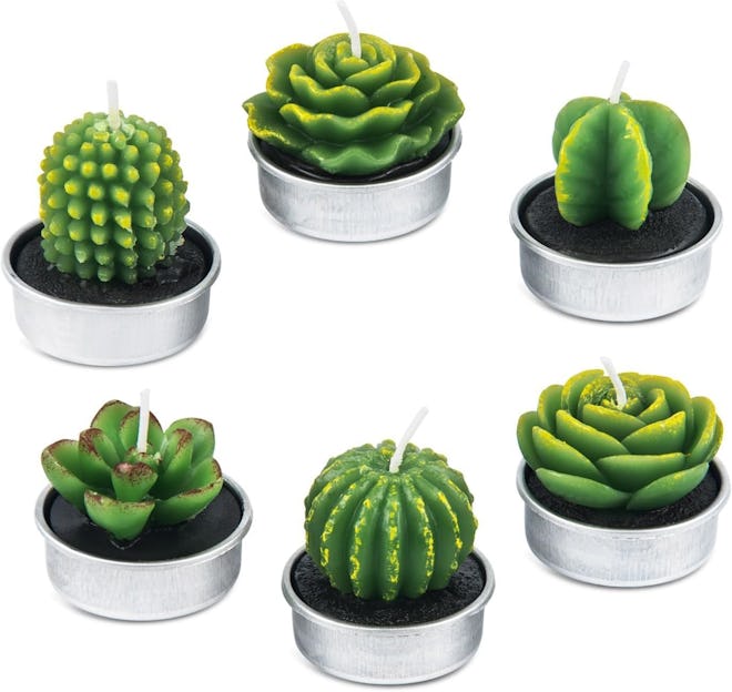 BEAUTYFLOWER Succulent Cactus Candles (6-Pack)
