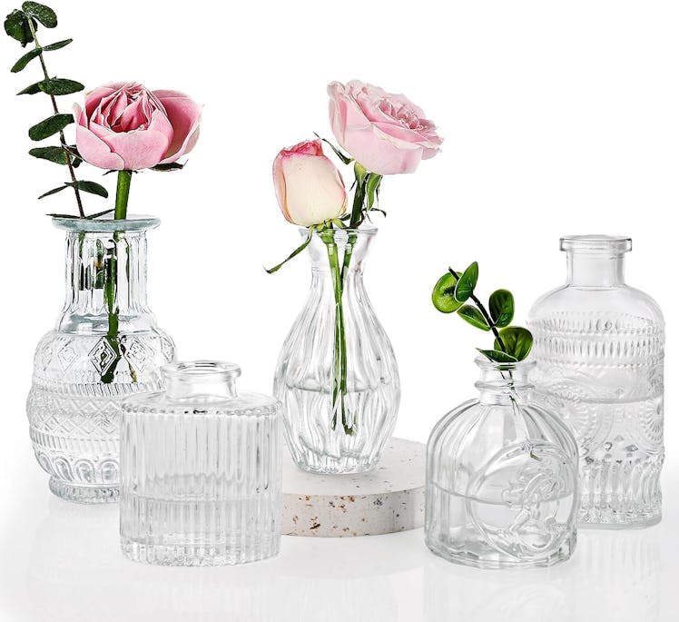 Fixwal Glass Bud Vases (Set of 5)