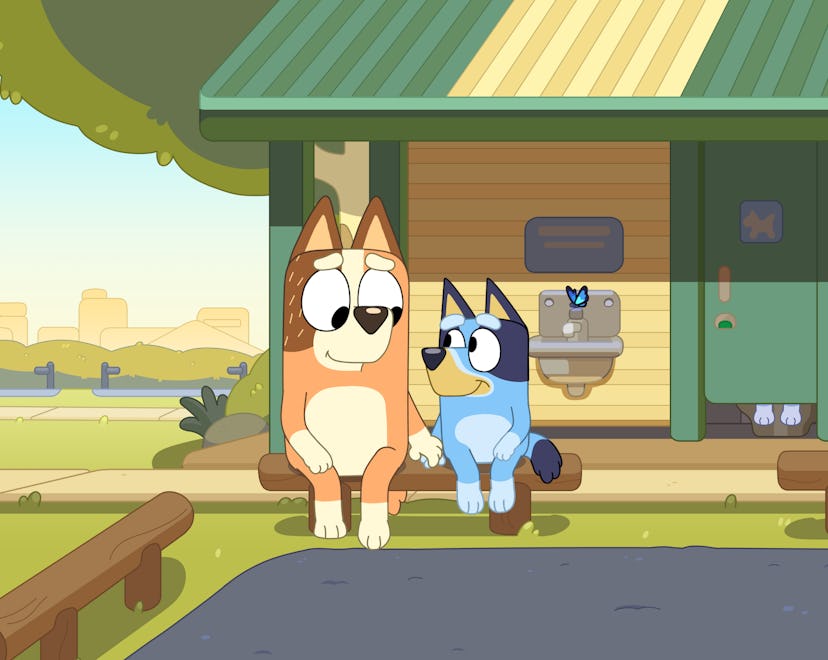 Chilli and Bluey sit side by side at a rest station.