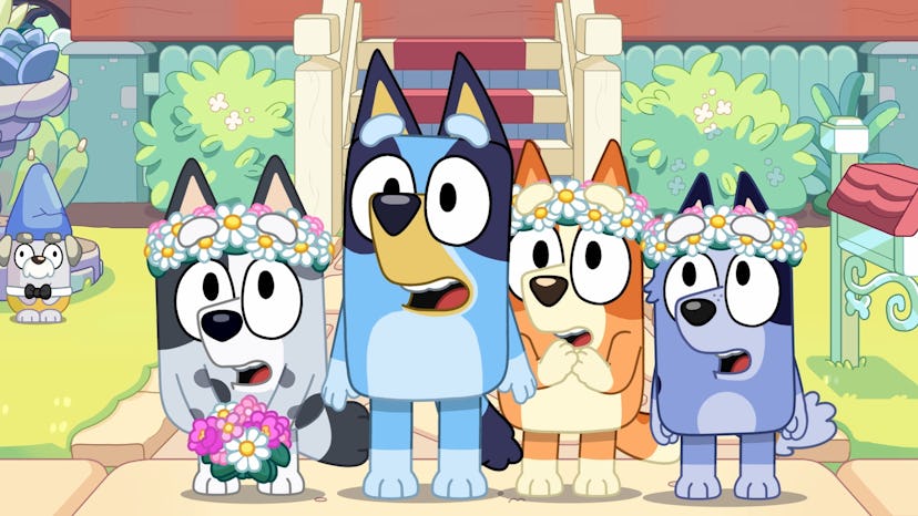 Bingo, Bluey, Muffin, and Socks stand in front of the Heeler house. All but Bluey are wearing flower...