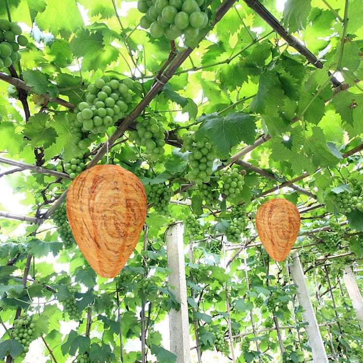 DECYOOL Wasp Nest Decoy (4-Pack)